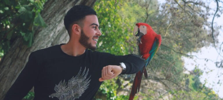 Golden retriever con un arnes metalico de movilidad, y una capa verde que dice New Horizons Service Dogs.